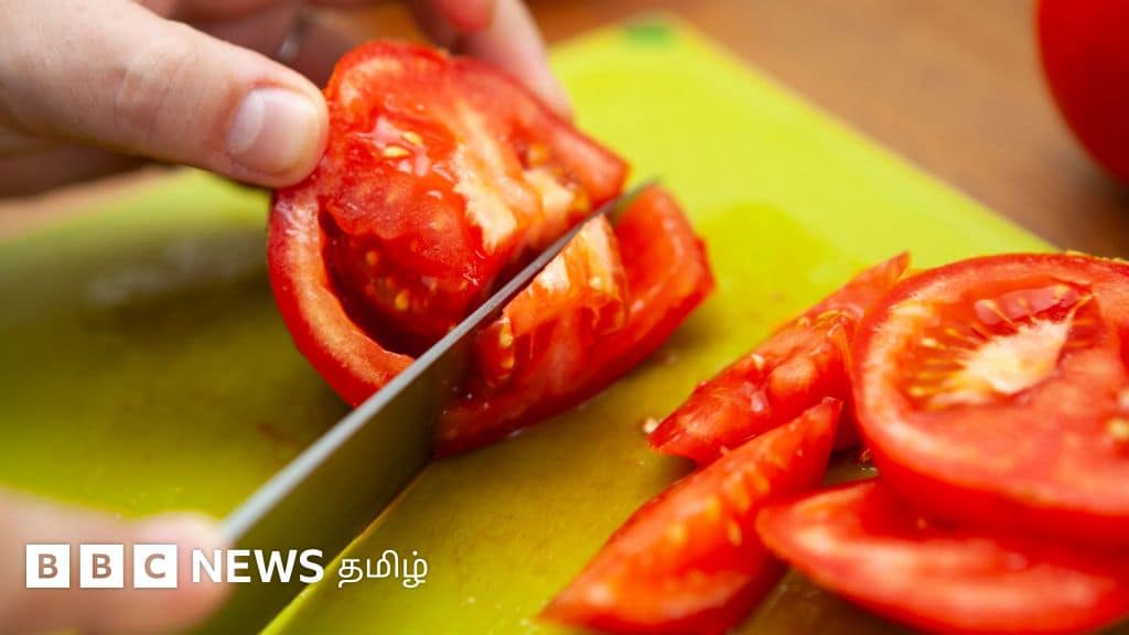 தக்காளி சாப்பிட்டால் சிறுநீரகக் கல் வருமா? வாழைத்தண்டு சாறு கரைக்குமா? மருத்துவர் தரும் உண்மை விளக்கம்! தக்காளி சாப்பிட்டால் சிறுநீரகக் கல் வருமா? வாழைத்தண்டு சாறு கரைக்குமா? மருத்துவர் தரும் உண்மை விளக்கம்!